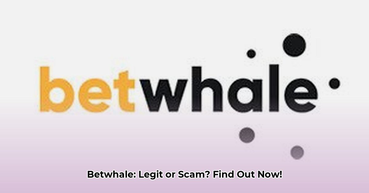 is-betwhale-legit